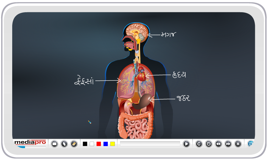 Write-on-screen